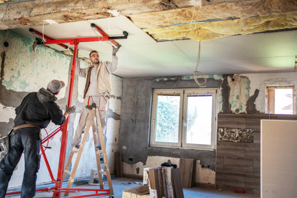 Best Specialized Insulation Services in Mountain City, TN