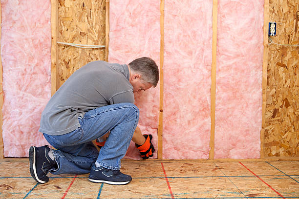 Best Commercial Insulation in Mountain City, TN